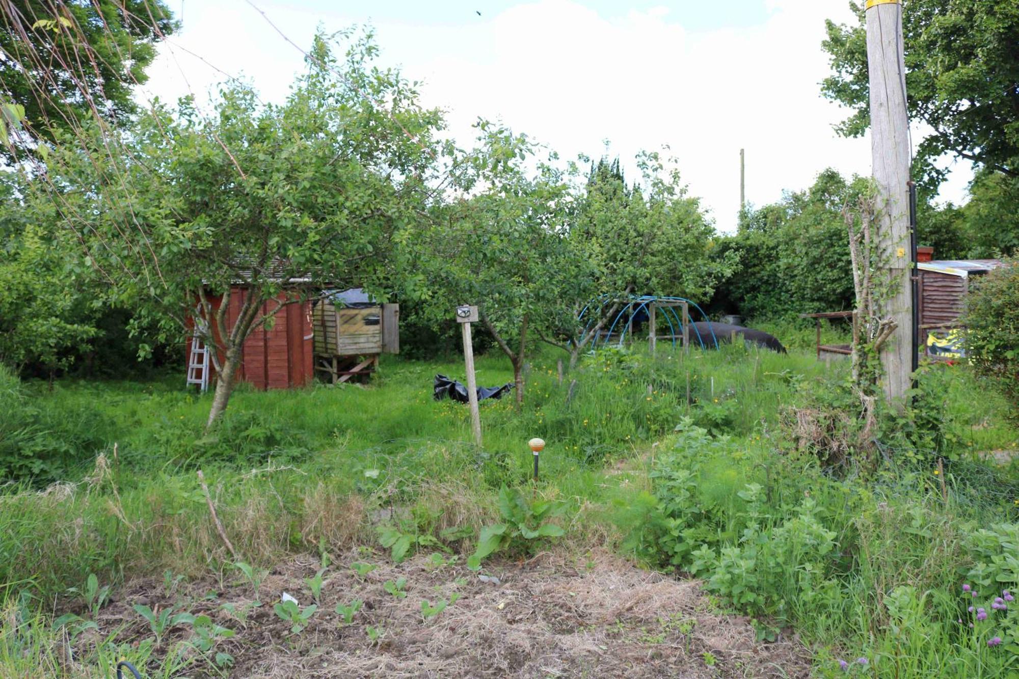 קושנדאל Cottage, Ireland, Includes Continental Breakfast מראה חיצוני תמונה